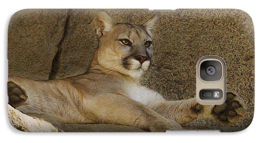 Animal Galaxy S7 Case featuring the photograph Relaxin' by Brian Cross