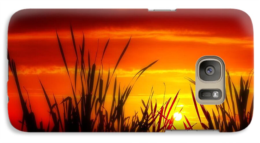 Ross Barnett Reservoir Galaxy S7 Case featuring the photograph Reservoir Sunset Tall Grass by Jim Albritton