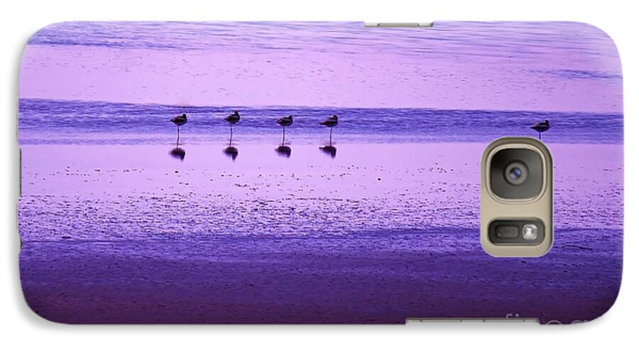 American Avocets Galaxy S7 Case featuring the photograph Avocets Resting in the Sunset by Michele Penner