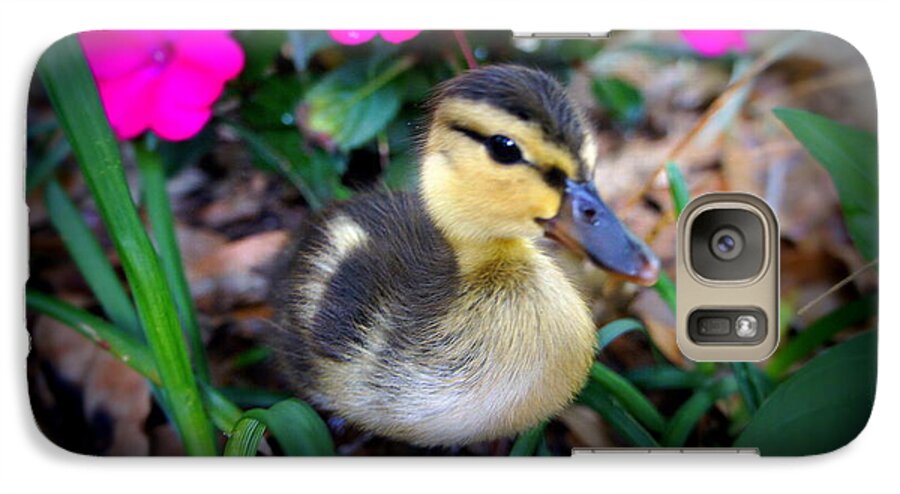 Duck Family Galaxy S7 Case featuring the photograph Reynolds by Laurie Perry