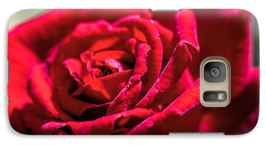 Red Galaxy S7 Case featuring the photograph Rose by Leif Sohlman