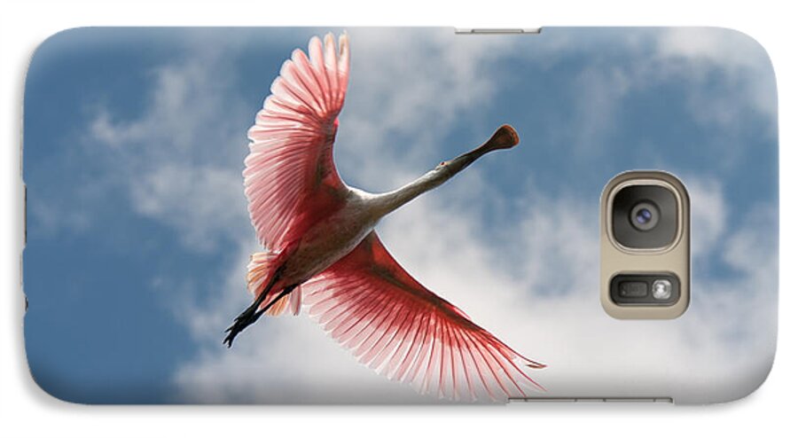 Roseate Galaxy S7 Case featuring the photograph Roseate Soaring by Paul Rebmann