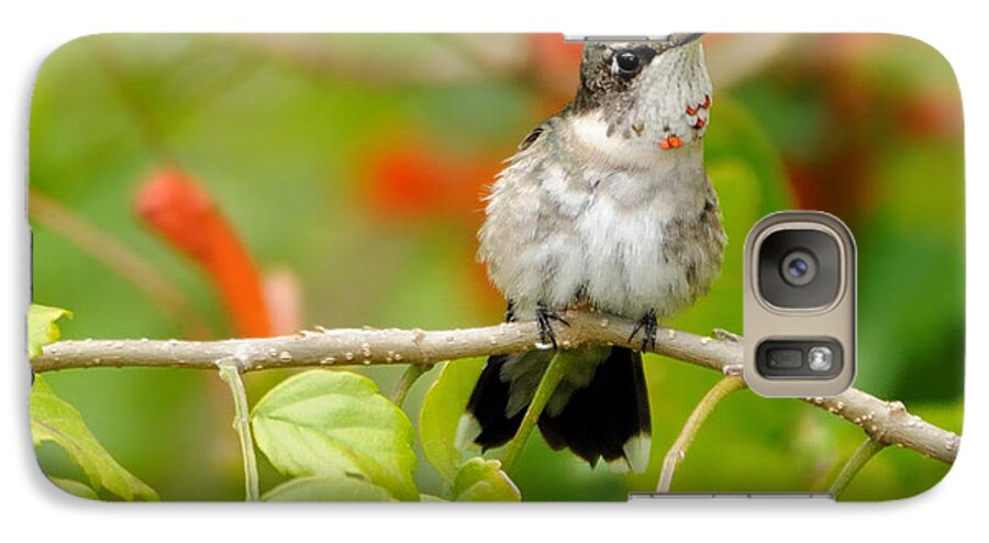 Hummingbird Galaxy S7 Case featuring the photograph Ruby Throat by Bradford Martin