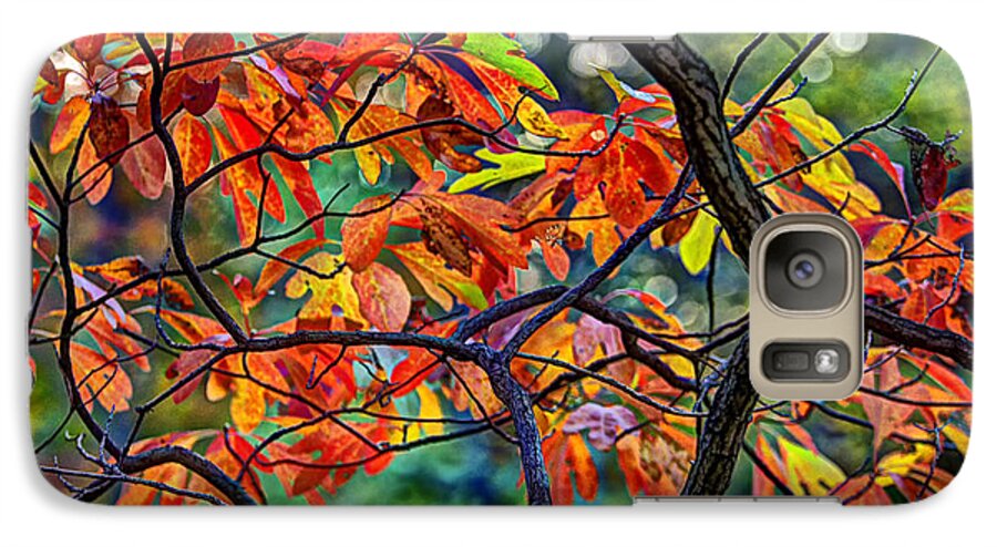 Color Galaxy S7 Case featuring the photograph Sassafras Leaves by Skip Tribby