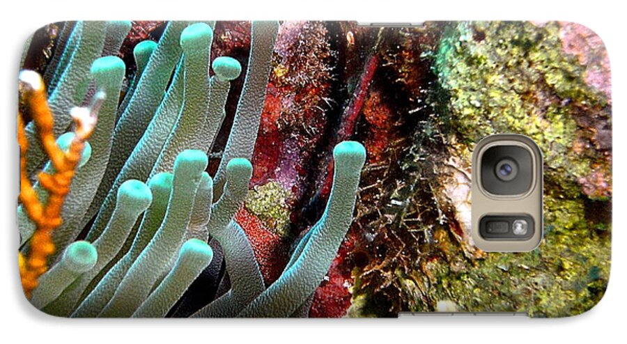Nature Galaxy S7 Case featuring the photograph Sea Anemone and Coral Rainbow Wall by Amy McDaniel