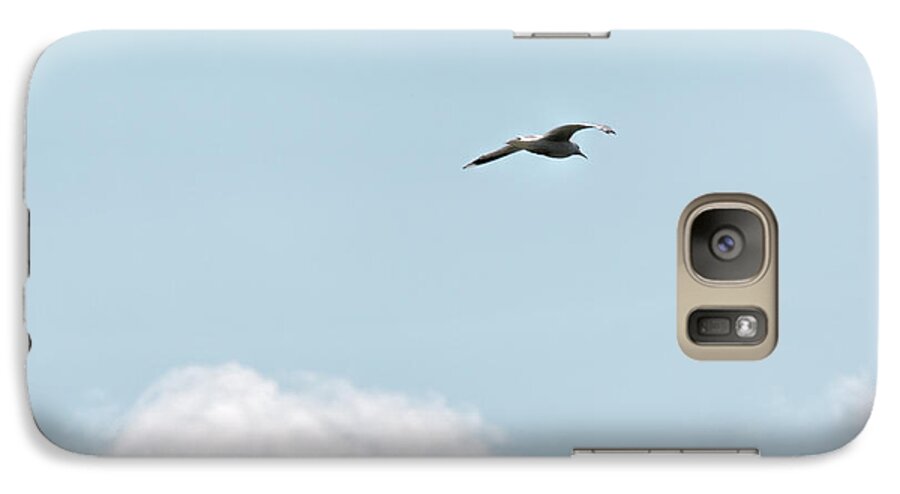 Seagull Galaxy S7 Case featuring the photograph Seagull Flying High by Leif Sohlman