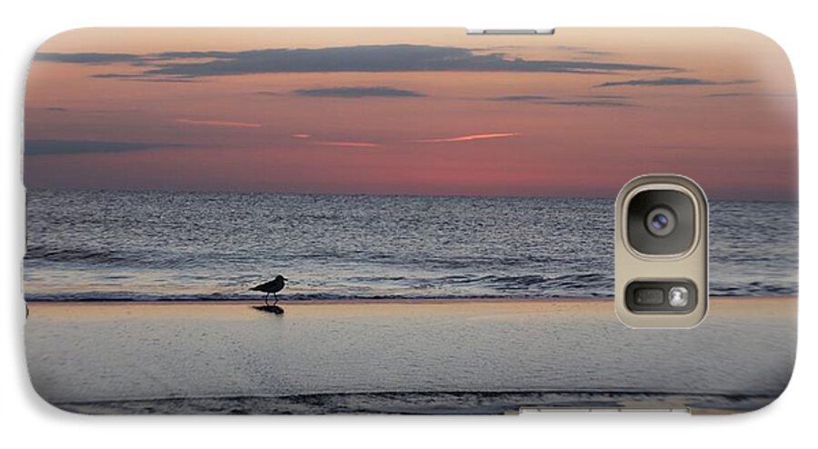Animals Galaxy S7 Case featuring the photograph Seagull Strolls The Seashore by Robert Banach