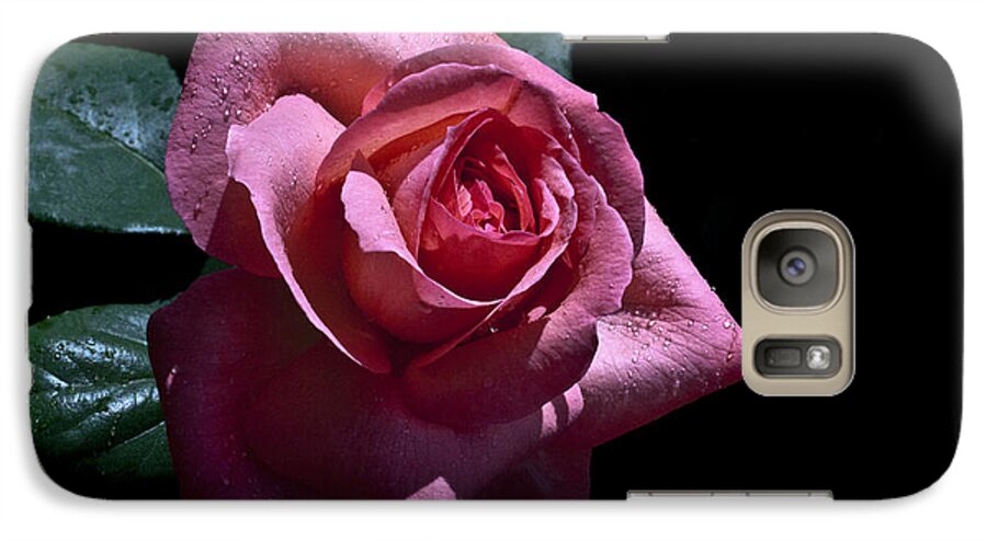 Rose Galaxy S7 Case featuring the photograph Searching by Doug Norkum