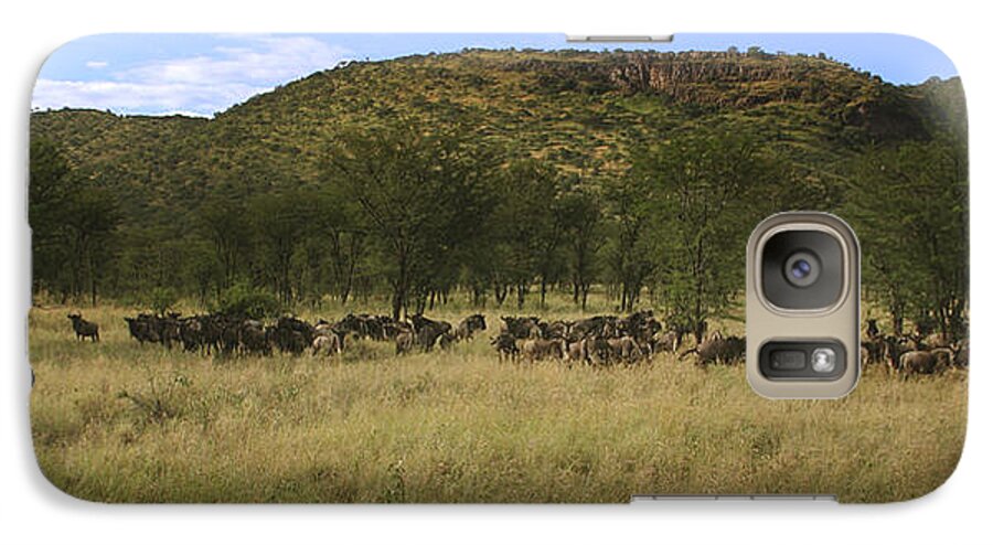 Wildebeest Galaxy S7 Case featuring the photograph Serengeti by Joseph G Holland