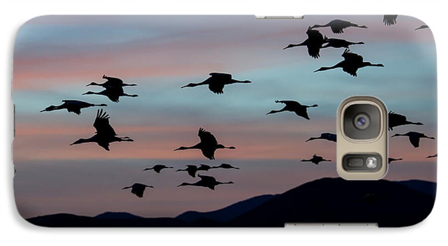 Sandhill Galaxy S7 Case featuring the photograph Sandhill Cranes Landing at Sunset 2 by Avian Resources