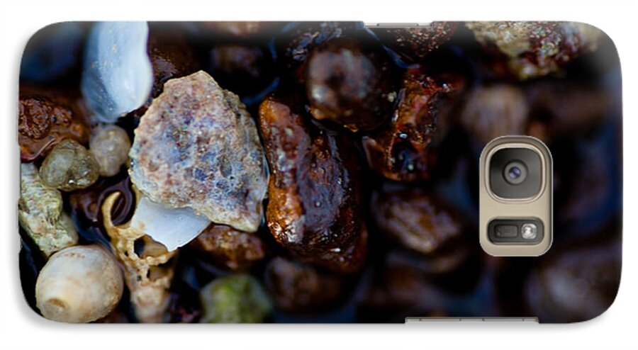 Coral Galaxy S7 Case featuring the photograph Shells with Bauxite by Carole Hinding