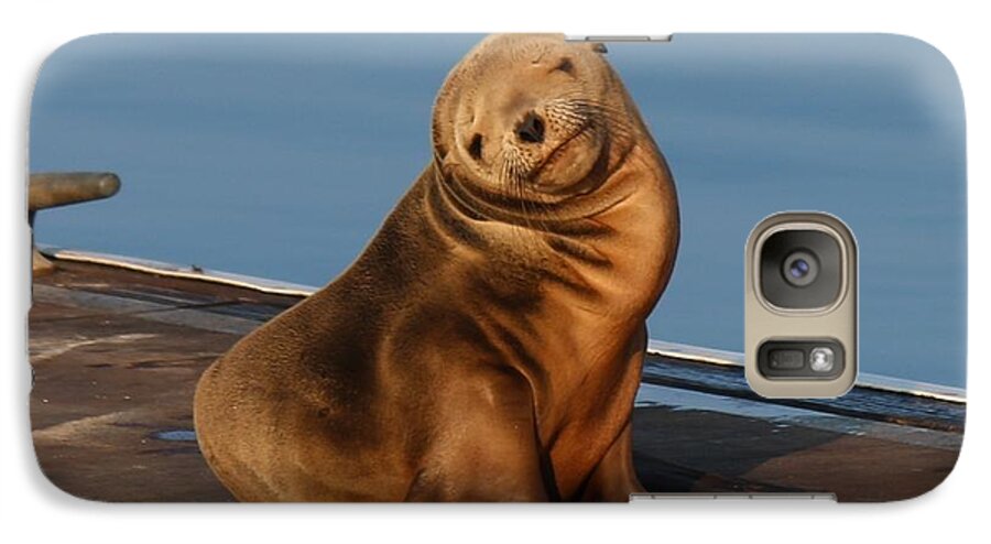 Wild Galaxy S7 Case featuring the photograph Shy Sea Lion Pup by Christy Pooschke