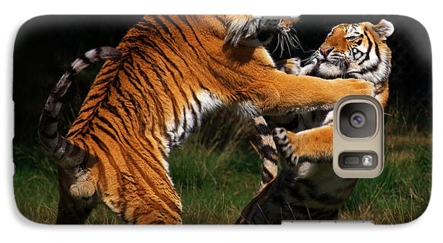 Two Galaxy S7 Case featuring the photograph Siberian Tigers in fight by Nick Biemans