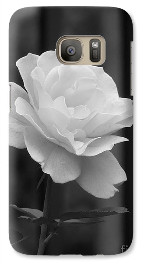 Rose Galaxy S7 Case featuring the photograph Single White Rose by Chad and Stacey Hall