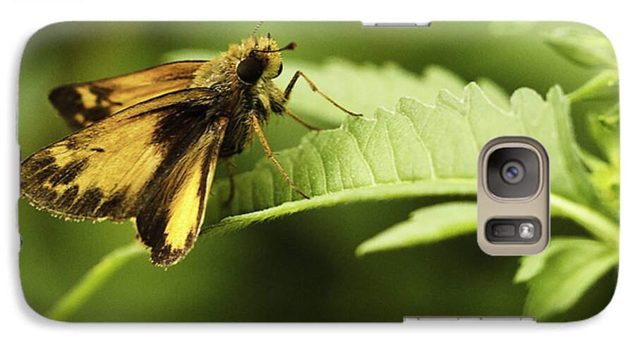 Butterflies Galaxy S7 Case featuring the photograph Skipper X by Donald Brown