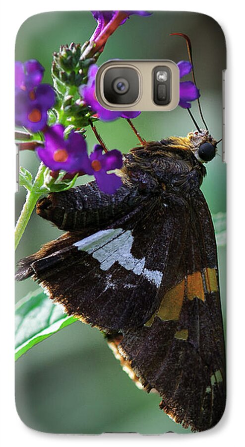 Butterflies Galaxy S7 Case featuring the photograph Skipper Z by Donald Brown