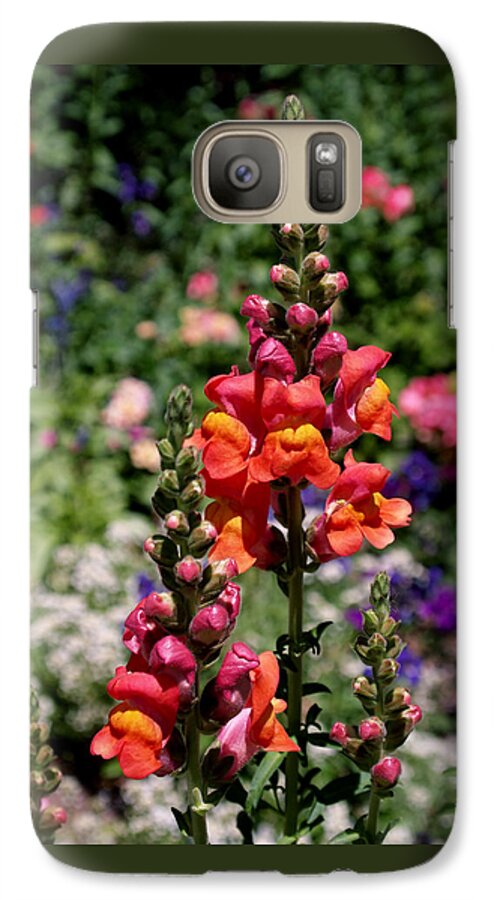 Snapdragons Galaxy S7 Case featuring the photograph Snapdragons by Rona Black