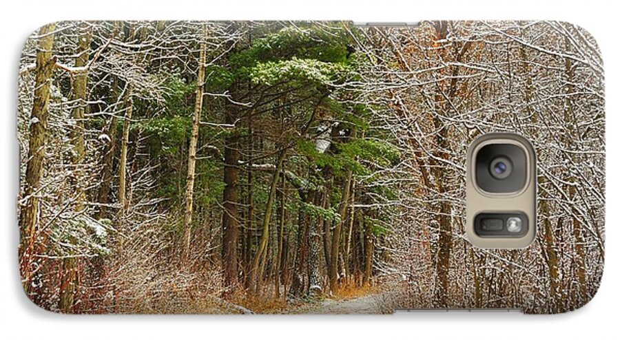 Snow Galaxy S7 Case featuring the photograph Snowy Tunnel of Trees by Terri Gostola