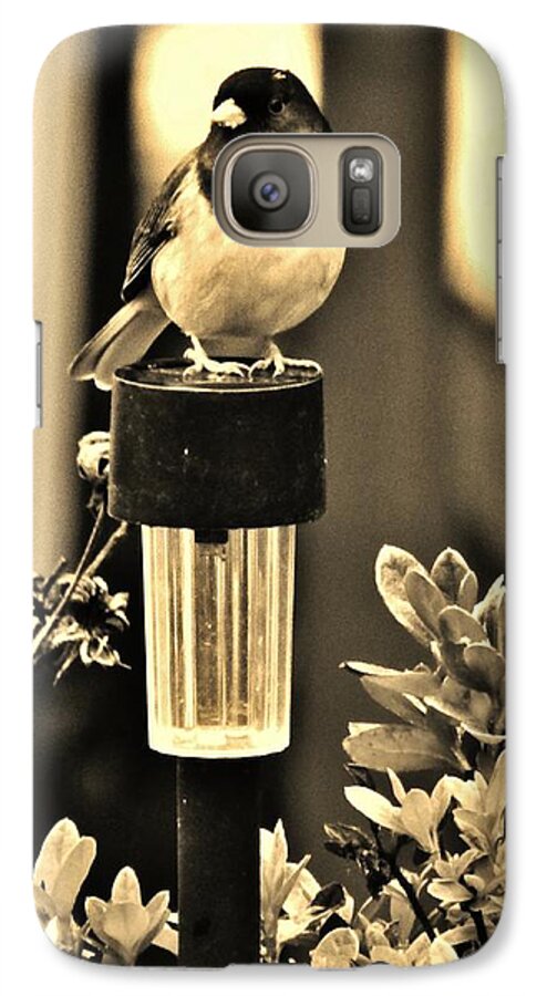 Bird Galaxy S7 Case featuring the photograph Solar Light Sitting by VLee Watson