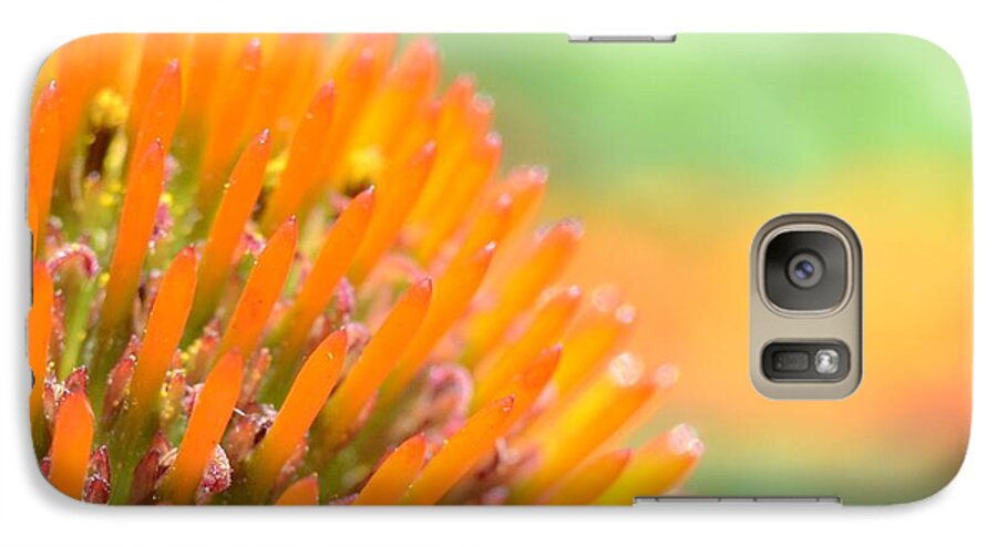 Spikes Galaxy S7 Case featuring the photograph Spiked Beauty by Chad and Stacey Hall