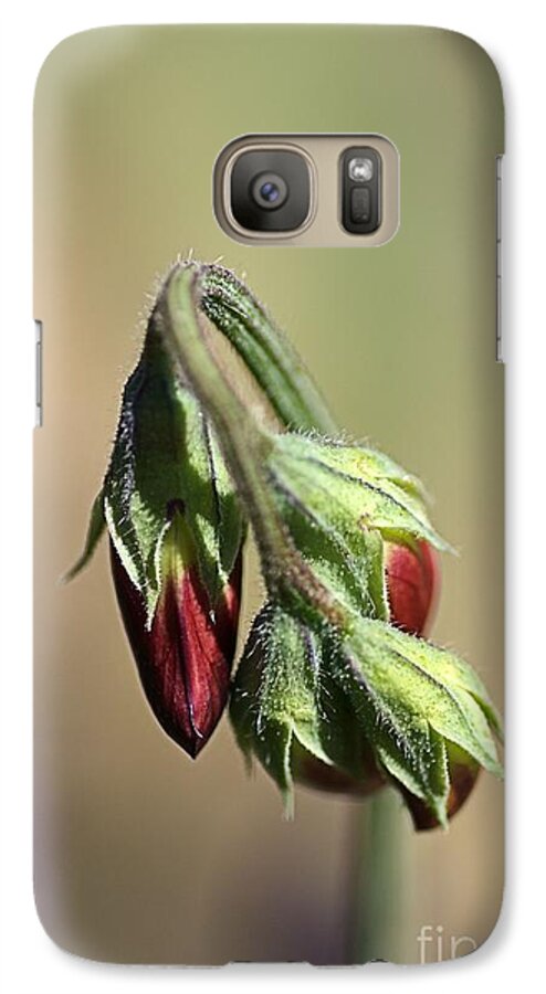 Split Pea Bud Galaxy S7 Case featuring the photograph Split Pea by Joy Watson
