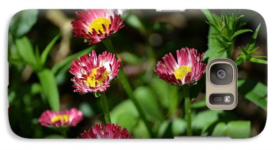 Spring Galaxy S7 Case featuring the photograph Spring Blooms by Tara Potts