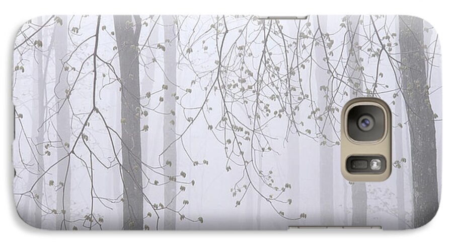 Spring Galaxy S7 Case featuring the photograph Spring Woodland Fog 2 by Alan L Graham