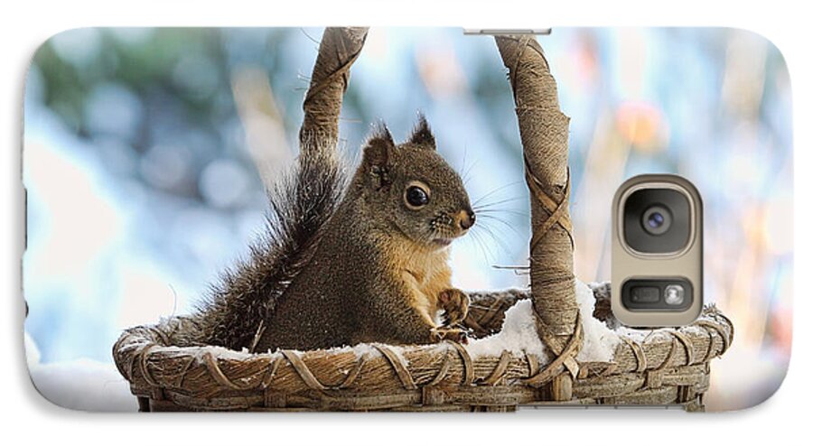 Squirrels Galaxy S7 Case featuring the photograph Squirrel in a Snowy Basket in Winter by Peggy Collins