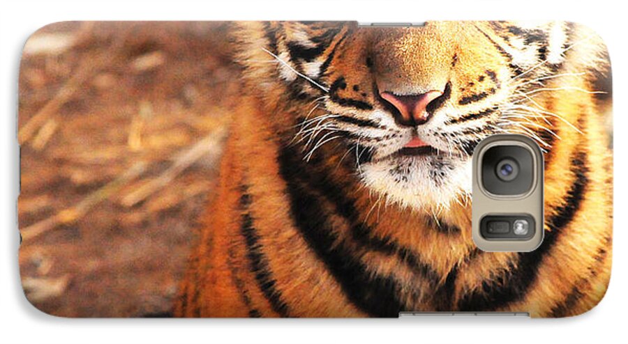 Nature Galaxy S7 Case featuring the photograph Sumatran Tiger Cub by Olivia Hardwicke