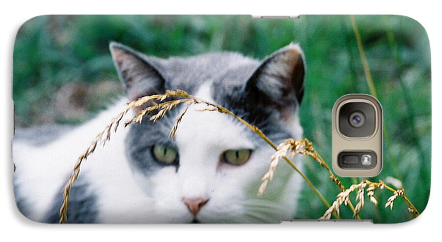 Cat Galaxy S7 Case featuring the photograph Summer Stroll by Donna Brown