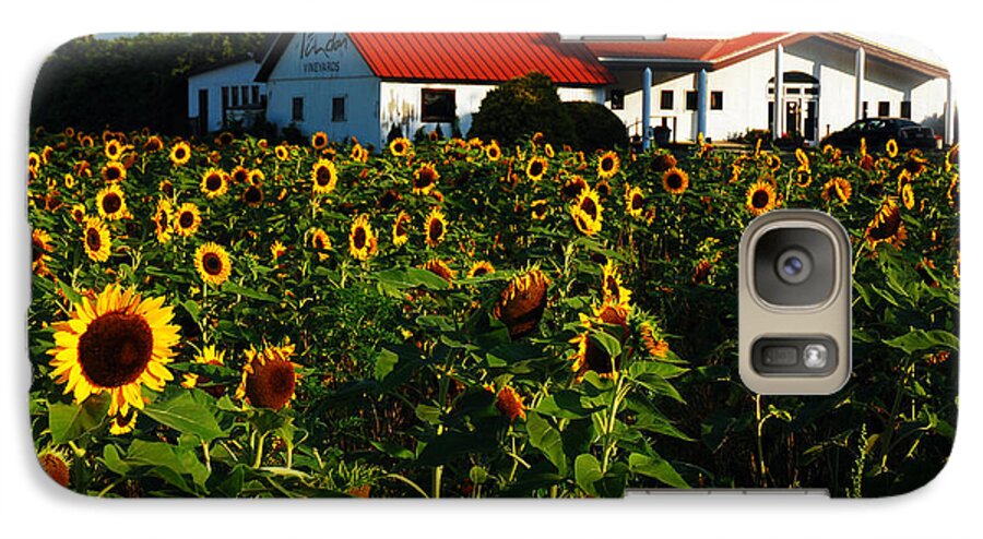Peconic Galaxy S7 Case featuring the photograph Sunflower Field at Winery by James Kirkikis
