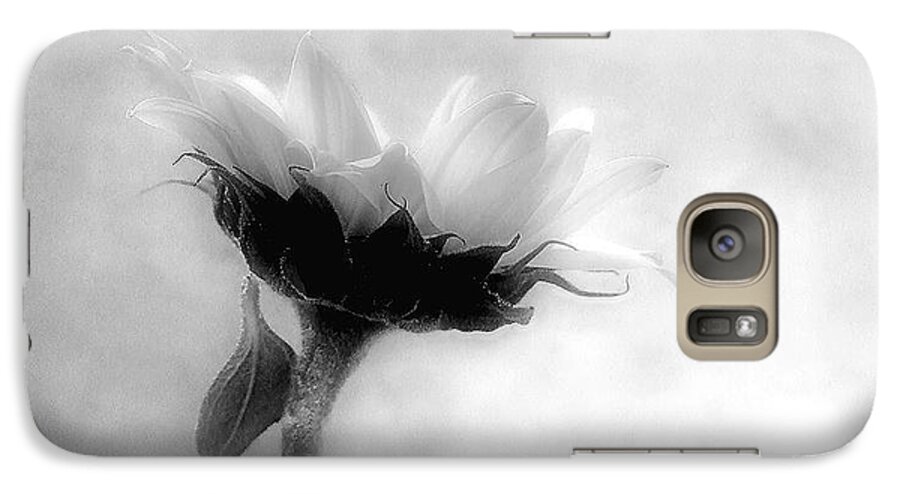 Sunflower Galaxy S7 Case featuring the photograph Sunflower in Profile by Louise Kumpf