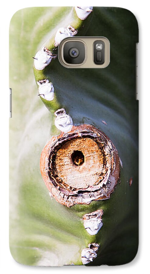 Botanical Galaxy S7 Case featuring the photograph Sunlight Split on Cactus Knot by John Wadleigh