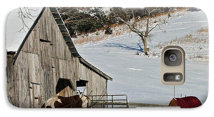 Horses Galaxy S7 Case featuring the photograph Sunny Snow Day by Denise Romano
