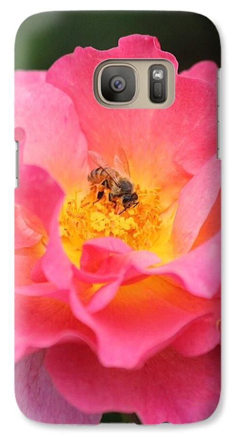 Honey Bee Galaxy S7 Case featuring the photograph Sunrise by Amy Gallagher