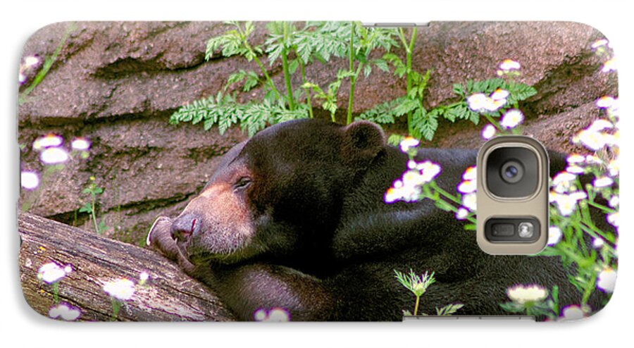 Wildlife Galaxy S7 Case featuring the photograph Sunshine Bear by Adam Olsen