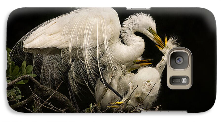 Great Egret Galaxy S7 Case featuring the photograph Suppertime by Priscilla Burgers