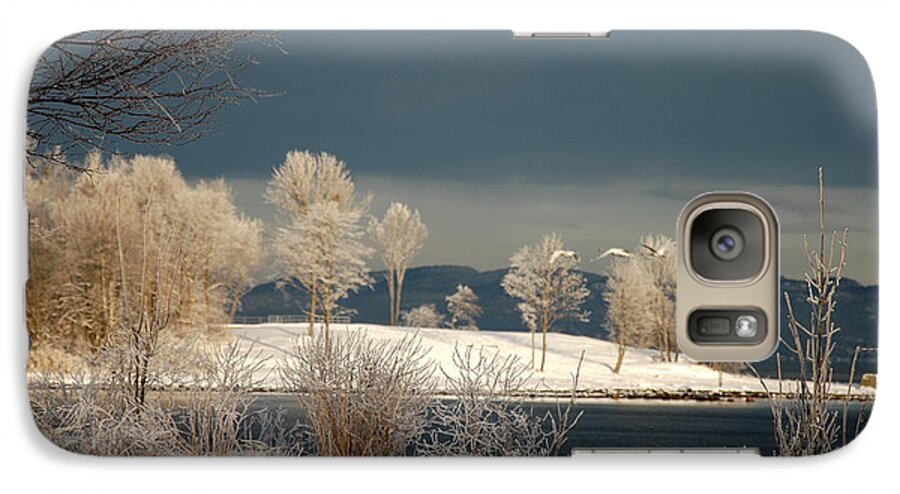 Swans Galaxy S7 Case featuring the photograph Swans on a Frosty Day by Randi Grace Nilsberg