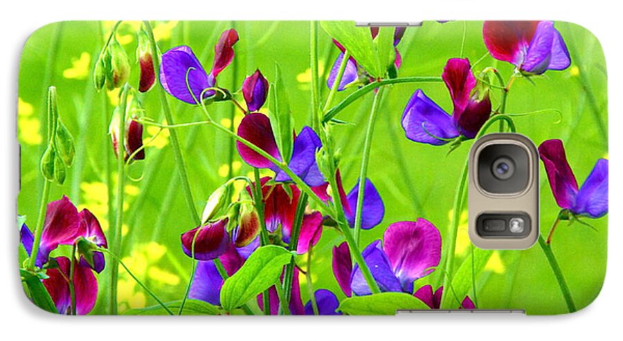 Sweet Pea Flowers Galaxy S7 Case featuring the photograph Sweet Peas by Byron Varvarigos