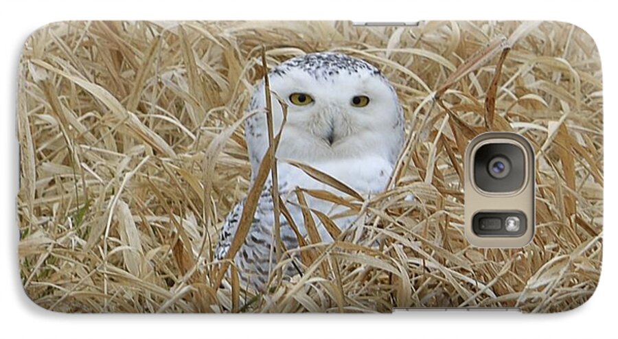 Snowy Owl Galaxy S7 Case featuring the photograph Taylor Snow by Randy Bodkins