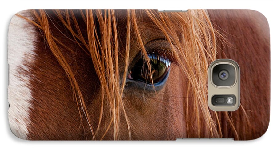 Horse Galaxy S7 Case featuring the photograph The gentle eye by Eric Rundle