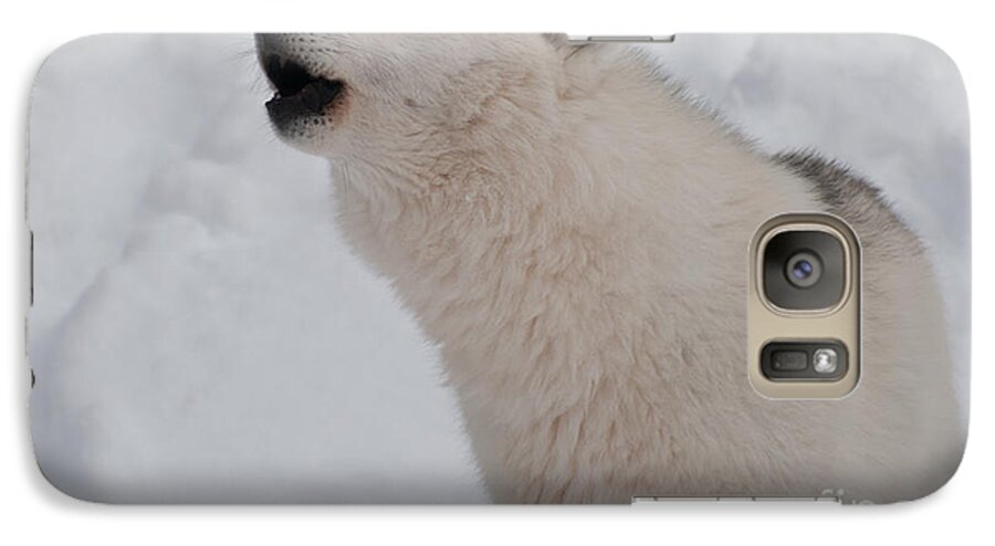 Arctic Wolf Galaxy S7 Case featuring the photograph The Howler by Bianca Nadeau