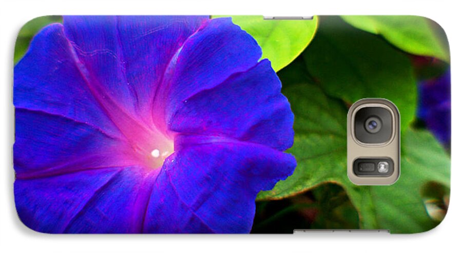 Flowers Galaxy S7 Case featuring the photograph The Light Within by Jeremy McKay