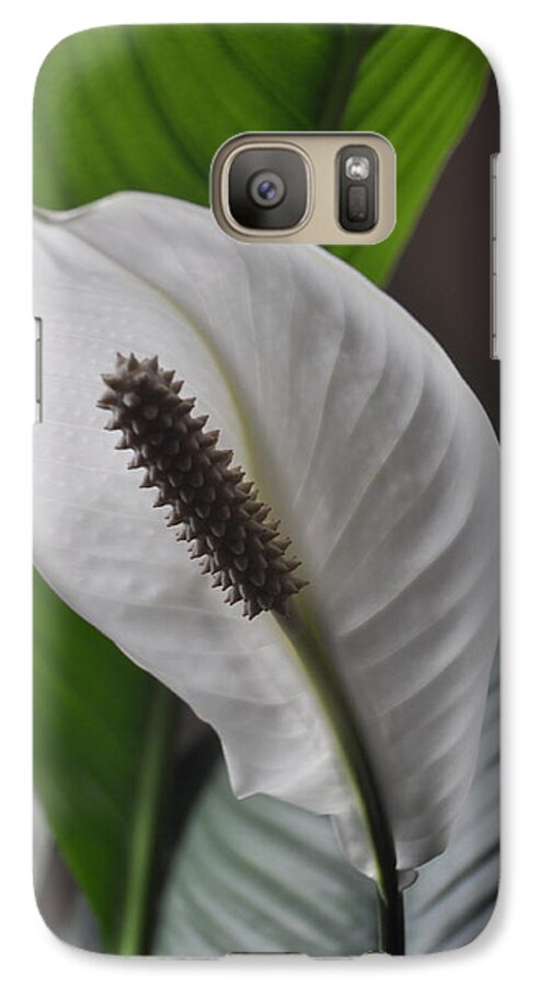 Peace Lily Galaxy S7 Case featuring the photograph The Peace Lily by Verana Stark