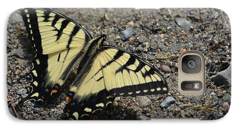 Maine Galaxy S7 Case featuring the photograph Tiger Swallowtail by James Petersen