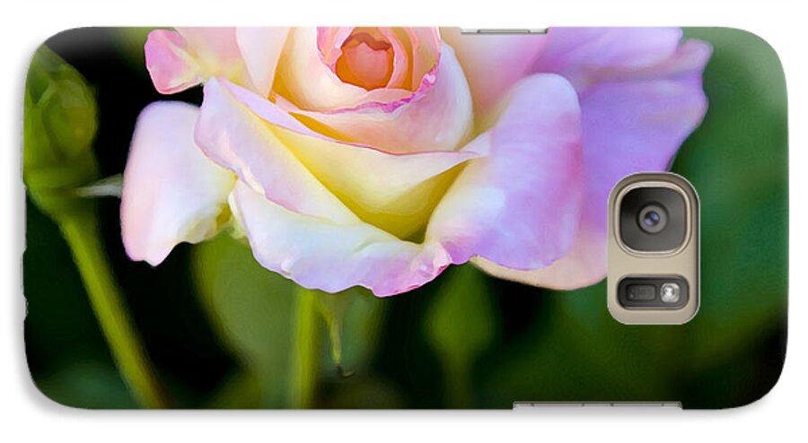 Rose Galaxy S7 Case featuring the photograph Rose-Touch me softly by David Millenheft