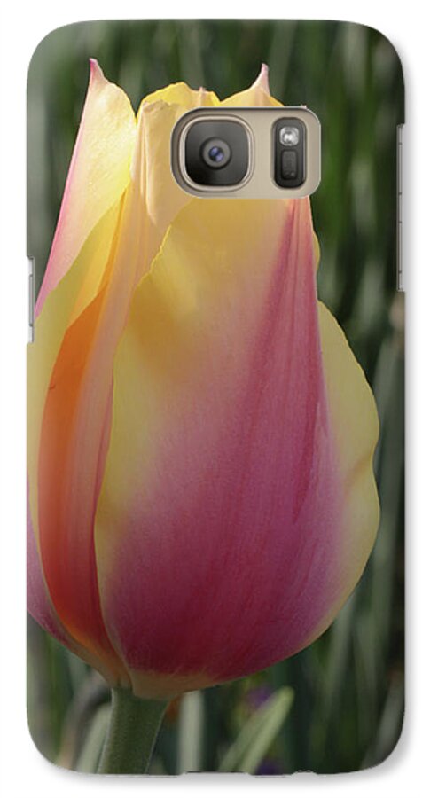 Nature Galaxy S7 Case featuring the photograph Tulip Portrait by Harold Rau