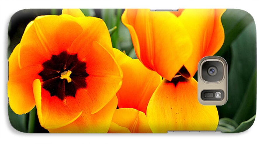 Tulips Galaxy S7 Case featuring the photograph Tulips... by Jerry Cahill