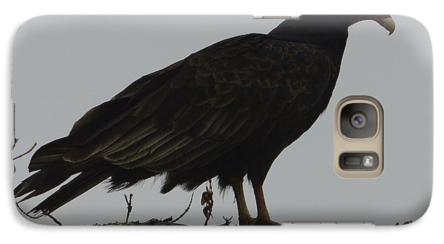 Scavanger Galaxy S7 Case featuring the photograph Turkey Vulture by Randy Bodkins