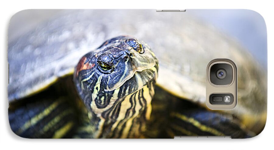 Turtle Galaxy S7 Case featuring the photograph Turtle by Elena Elisseeva